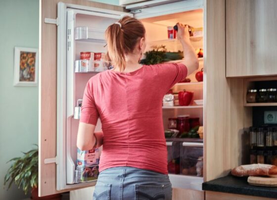 How to stay cool by following the right advice for buying a fridge freezer